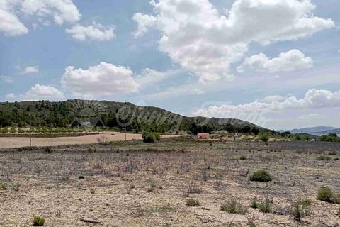Helårsgrund i Yecla, Murcia, Yecla - € 25.000 | Ref: SF0457 - foto 2